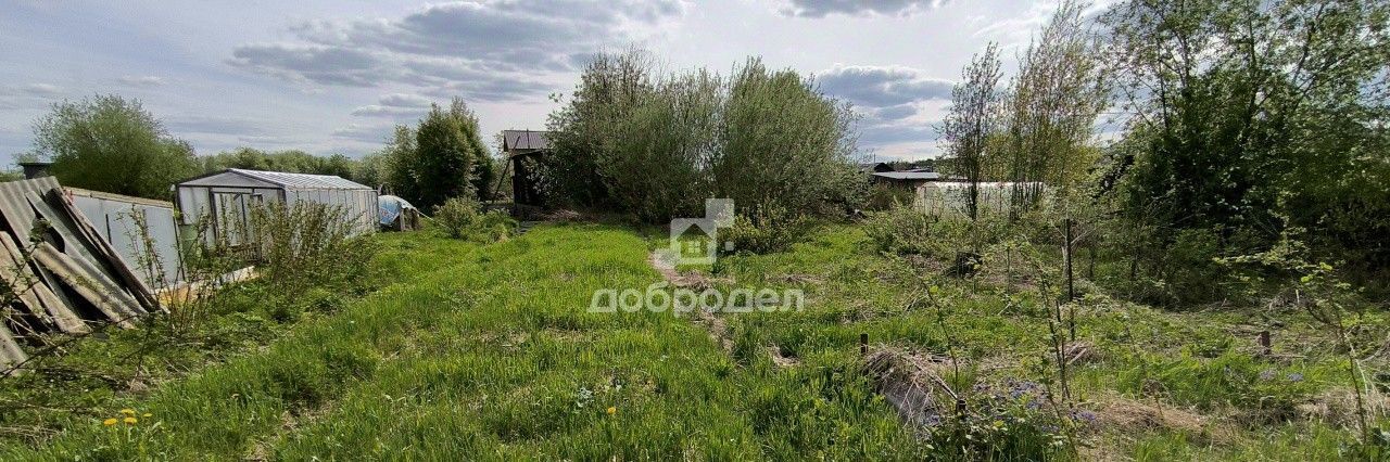 земля г Ивдель ул Фрунзе 85 фото 8
