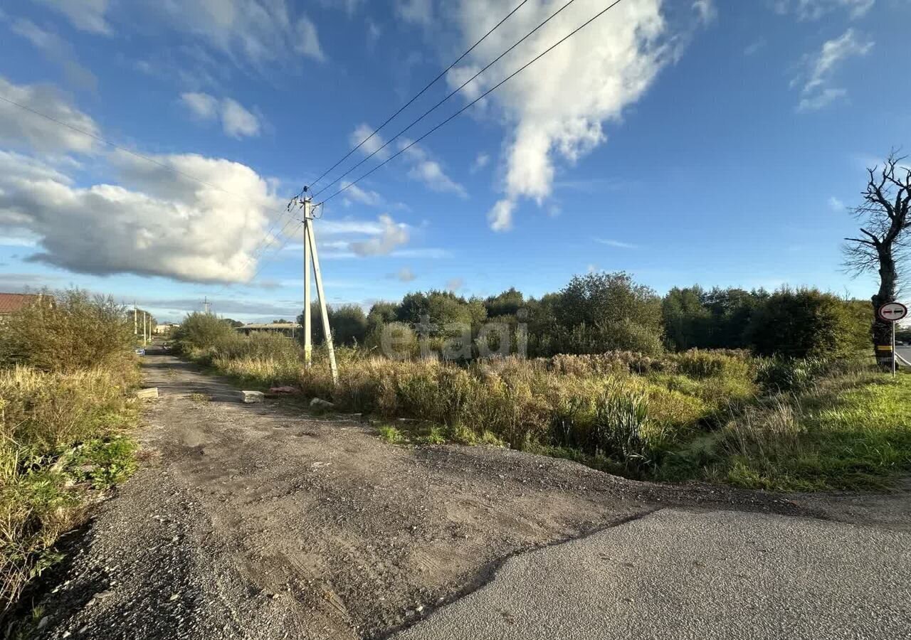 земля р-н Гурьевский п Петрово ул Рубиновая Калининград фото 5