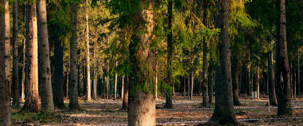 земля городской округ Одинцовский Матрешки Вилладж кп фото 15