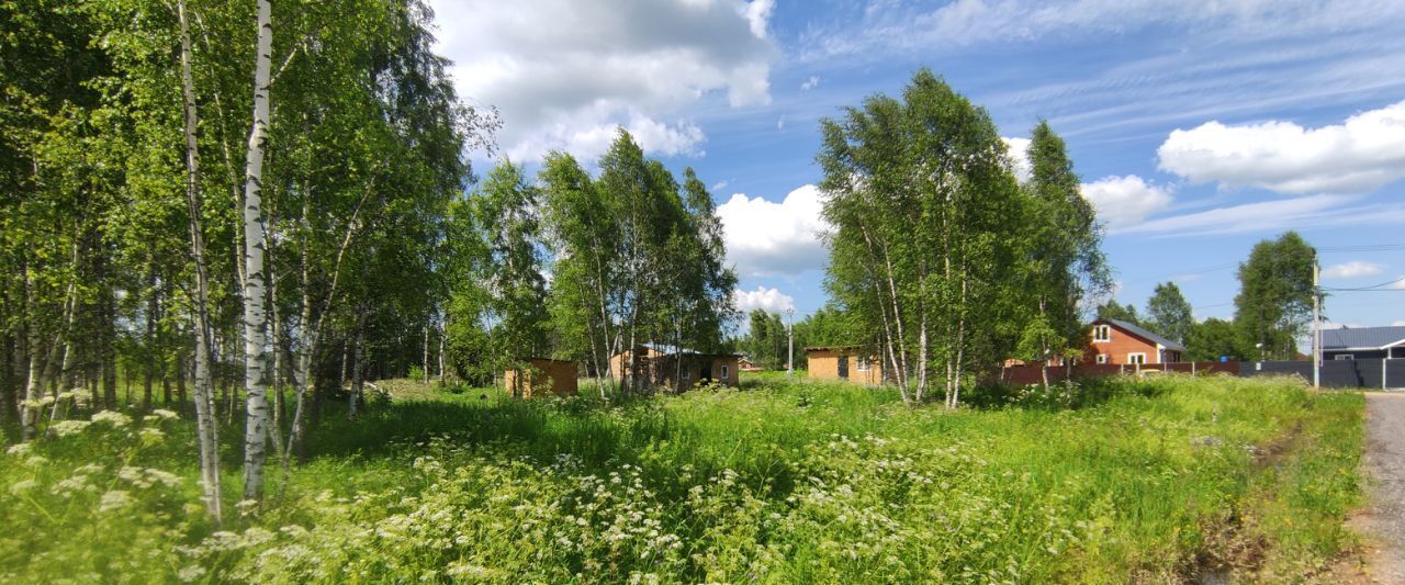 земля городской округ Солнечногорск д Клочково снт Клочково фото 3