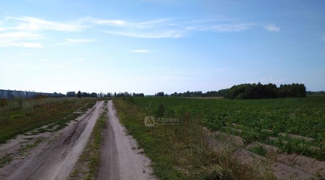 ул Совхозная фото