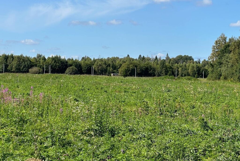 земля городской округ Истра д Чудцево фото 23