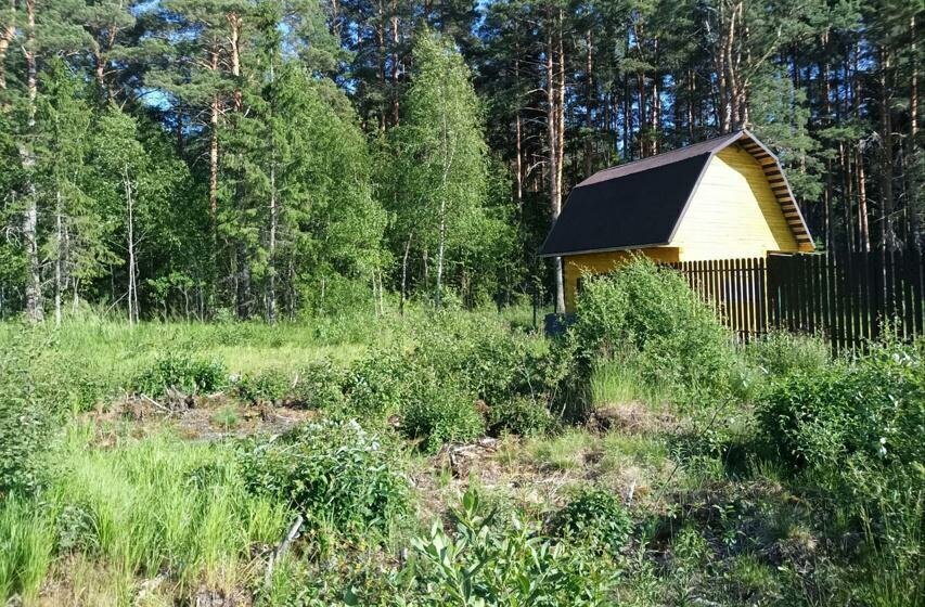 земля Лебяженское городское поселение, садоводческое некоммерческое товарищество Коваши фото 1