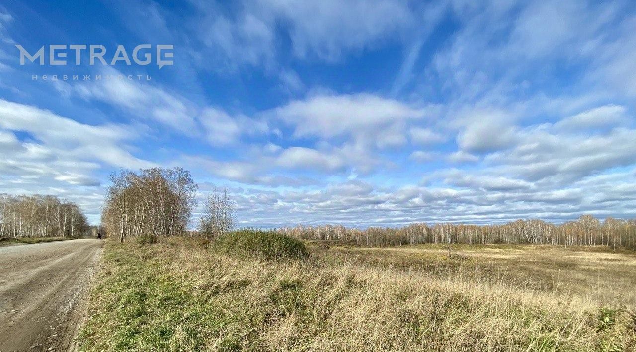 офис р-н Новосибирский с Каменка Каменский сельсовет фото 3