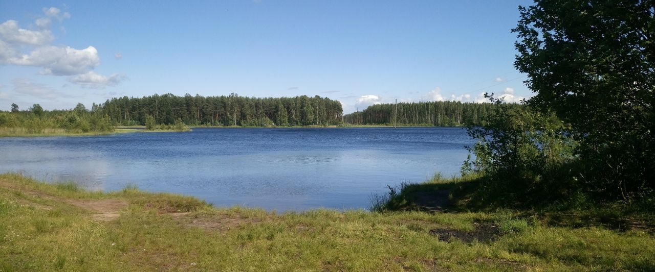 дом р-н Всеволожский массив Васкелово нп 3-я Линия Морозовское городское поселение, Дунайское СНТ фото 37