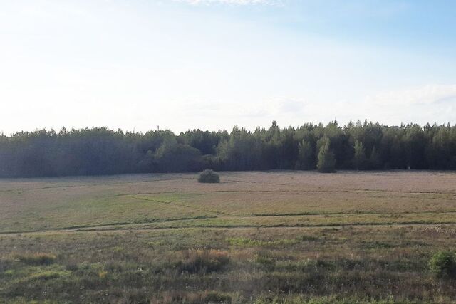 дом 11 ЖК Юрьевский посад Новгородский район фото