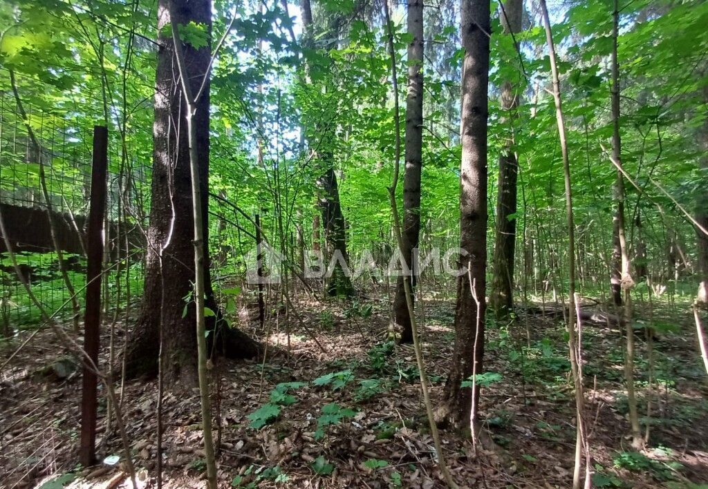 земля городской округ Наро-Фоминский г Селятино 9758 км, СНТ Новые Черёмушки, Киевское шоссе фото 5