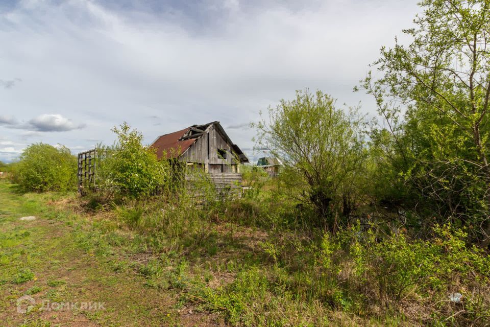 земля р-н Смидовичский ДНТ Владимировское фото 5