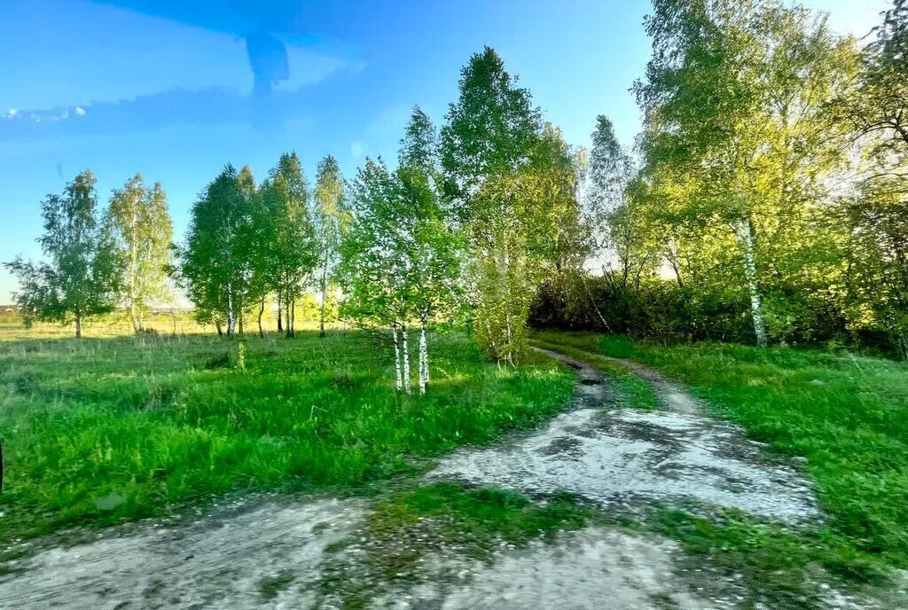 земля р-н Орловский д Тайное фото 1