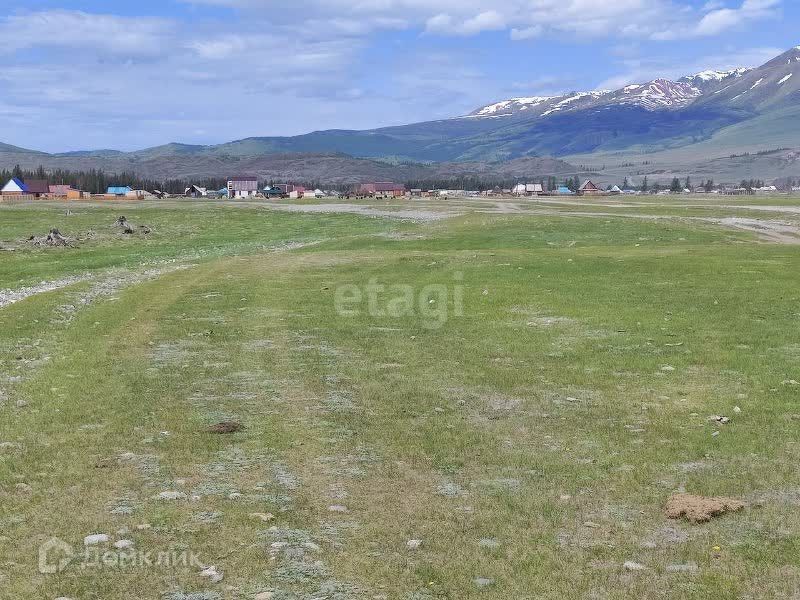 земля р-н Кош-Агачский село Курай фото 1