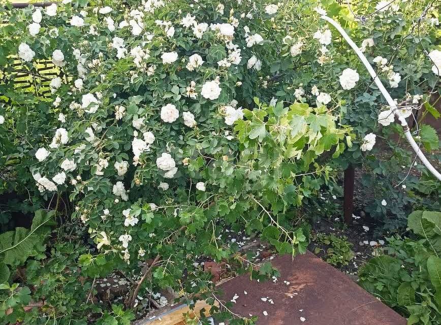 дом р-н Шпаковский с Надежда ул Парковая фото 3