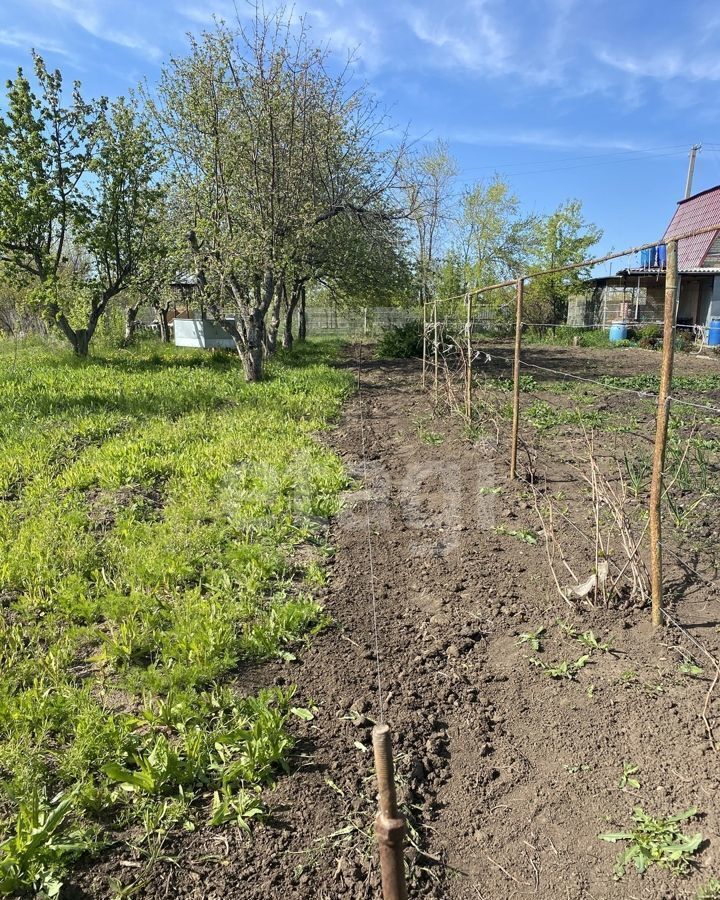 дом р-н Энгельсский тер Новопушкинское муниципальное образование СНТ Млечный Путь, Приволжский фото 6