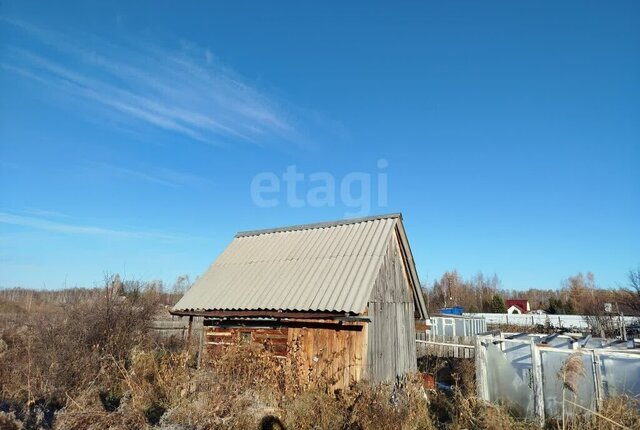 снт Виктория ул Садовая фото