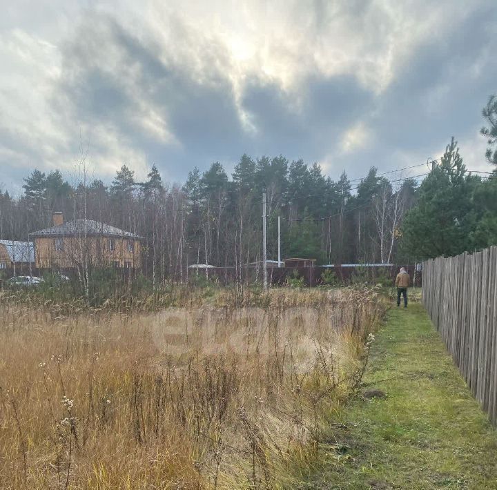 земля городской округ Раменский д Бисерово 8/2 фото 3