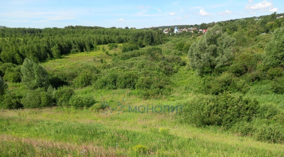 земля р-н Богородский с Доскино ул Центральная фото 3