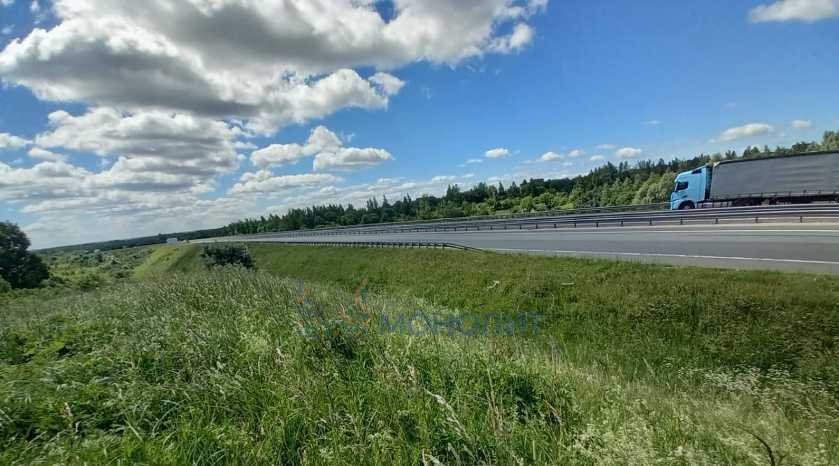 земля р-н Богородский д Крутец (Доскинский сельсовет) ул Светлая фото 9