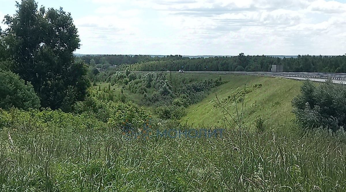 земля р-н Богородский д Крутец (Доскинский сельсовет) ул Светлая фото 7