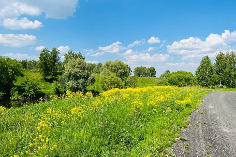 земля городской округ Раменский Зеленая Слобода фото 5