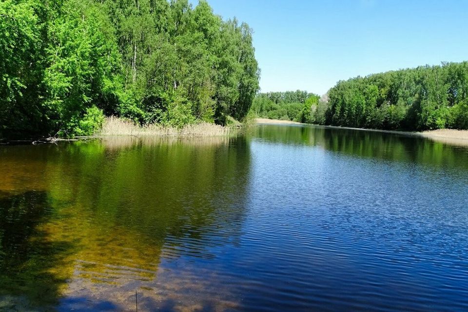 земля р-н Смоленский д Замятлино ул Малиновая фото 10