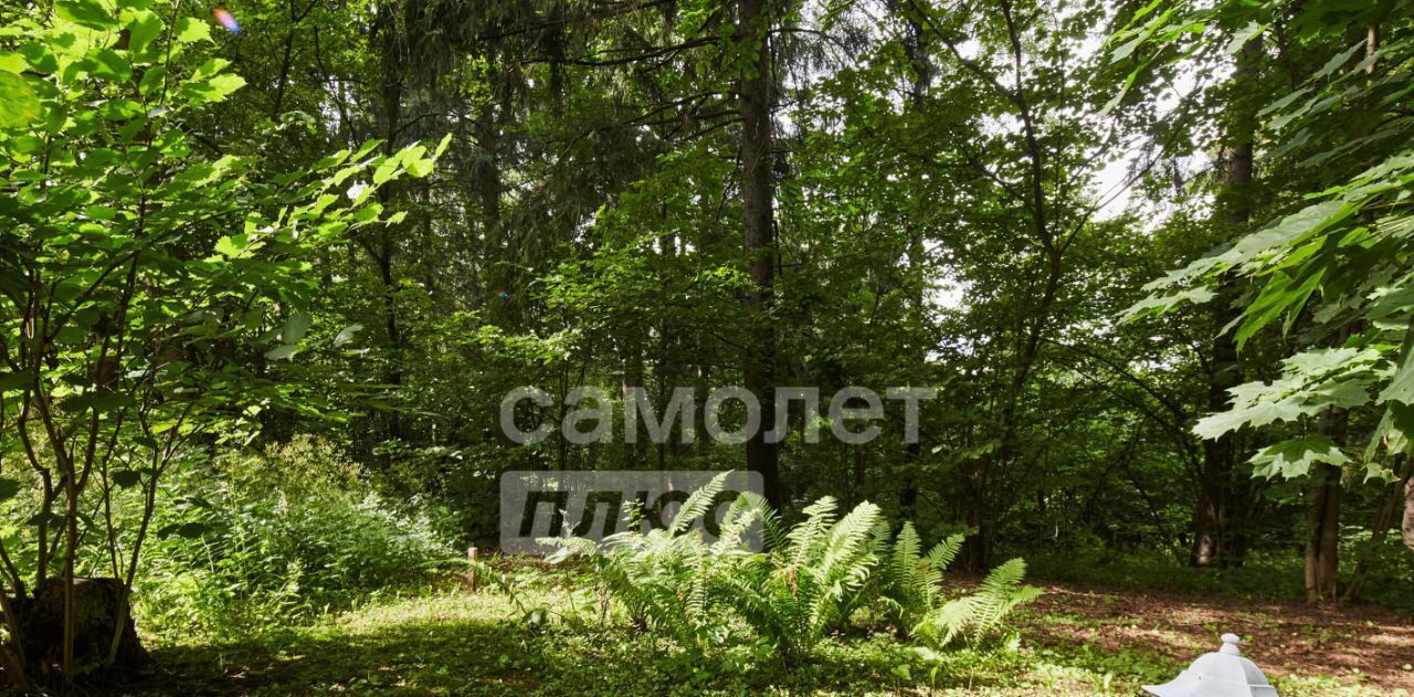 земля г Химки д Голиково Подрезково, ул. Лесная, 35 фото 8