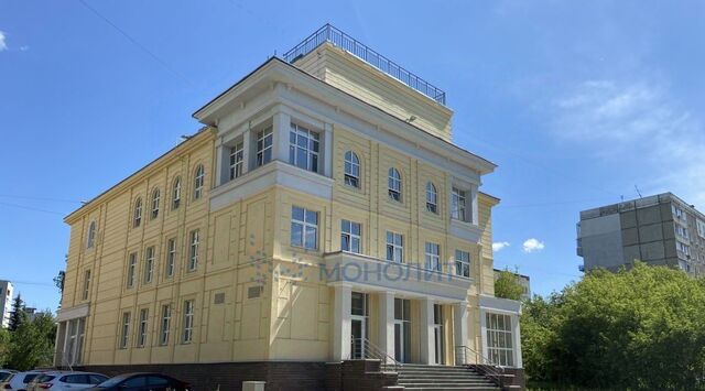Буревестник фото