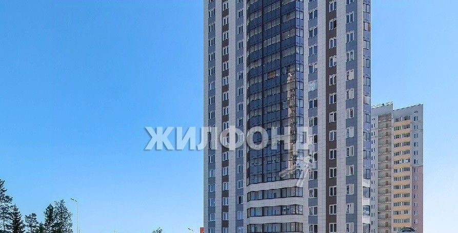 квартира г Новосибирск р-н Центральный Маршала Покрышкина ул Писарева 125 ЖК «Писарева» фото 2