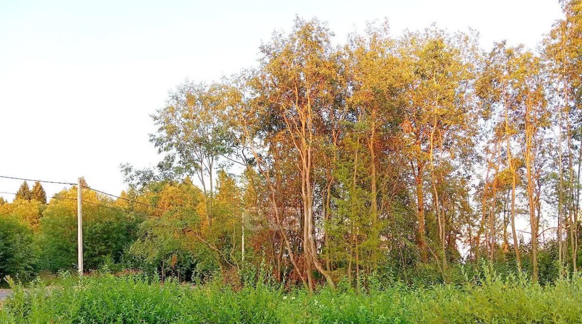 земля г Череповец р-н Заягорбский 36-й микрорайон фото 4