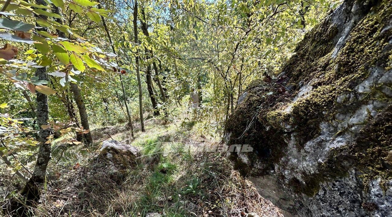 офис г Алушта с Лучистое ул Гостиная фото 6