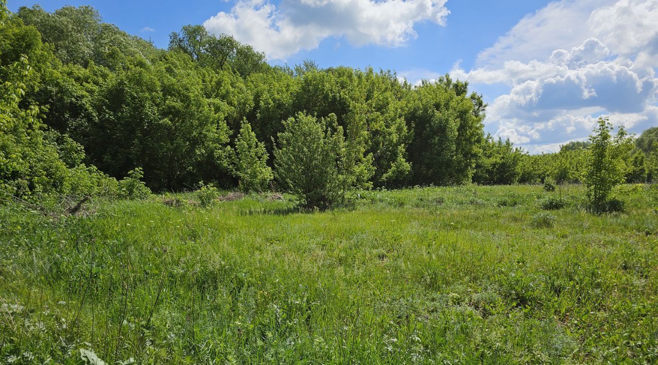 офис городской округ Луховицы д Гольный Бугор фото 3