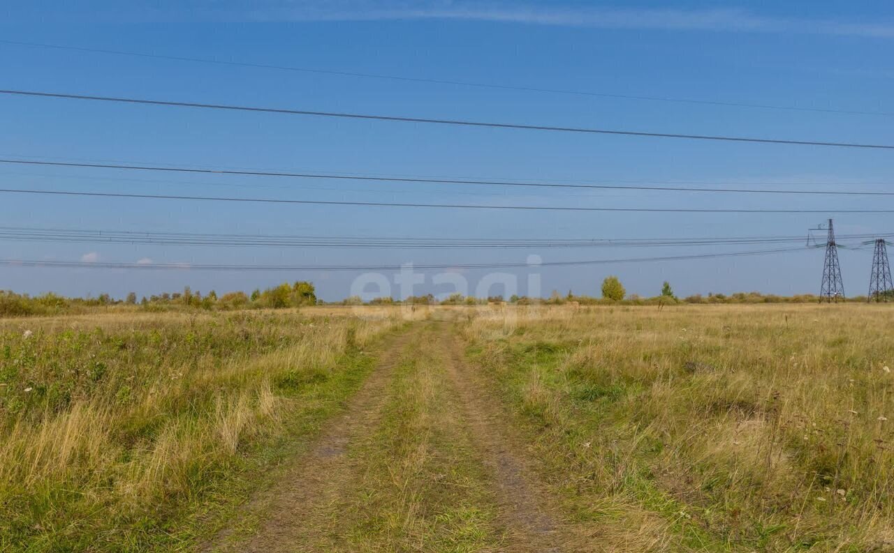 земля г Тюмень р-н Ленинский снт Яровское фото 2