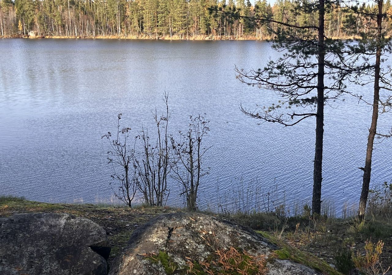 дом р-н Приозерский п Коверино Трасса Сортавала, 105 км, Мельниковское сельское поселение, Кузнечное фото 5