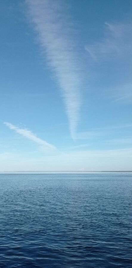 дом р-н Всеволожский снт Орешек-3 Мурманское шоссе, 26 км, Морозовское городское поселение, 81, Морозова фото 31