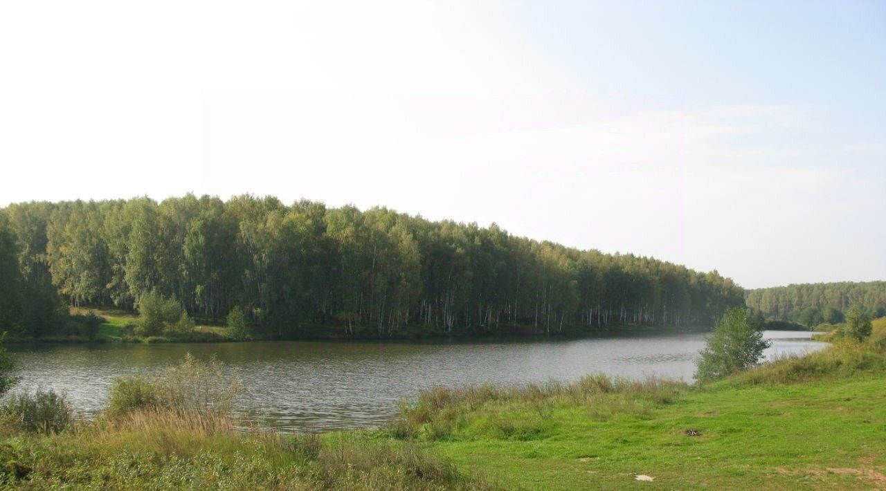 дом р-н Богородский д Чижково ул Озерная 3а фото 1