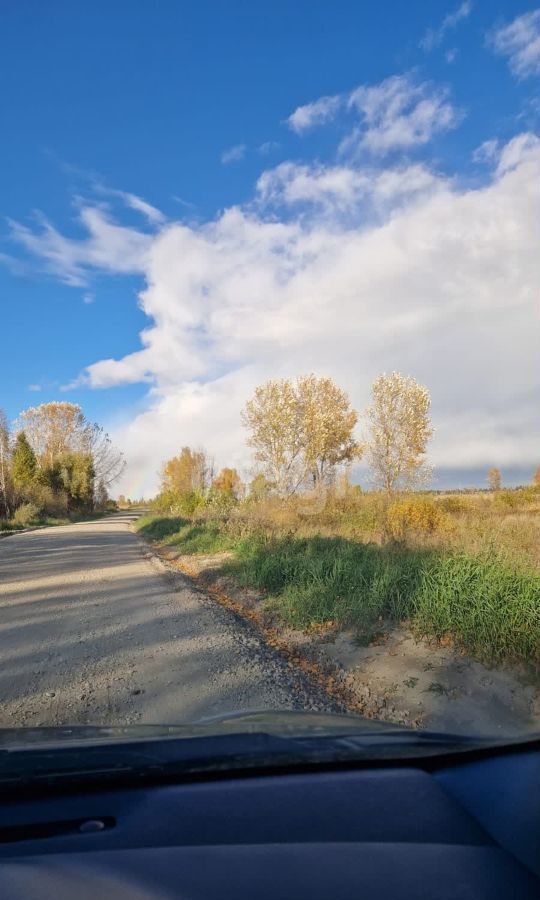 земля р-н Новосибирский дп Кудряшовский сельсовет, Новосибирск фото 2