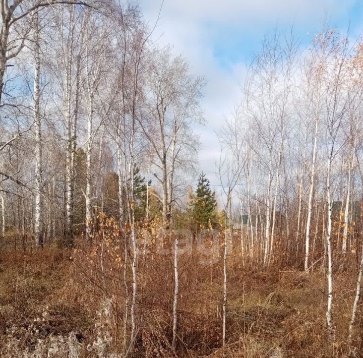 земля р-н Пригородный д Шумиха фото 10