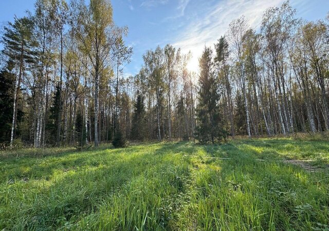 сельское поселение Некрасовское, коттеджный пос. Малые Соли Парк, Кедровая ул фото