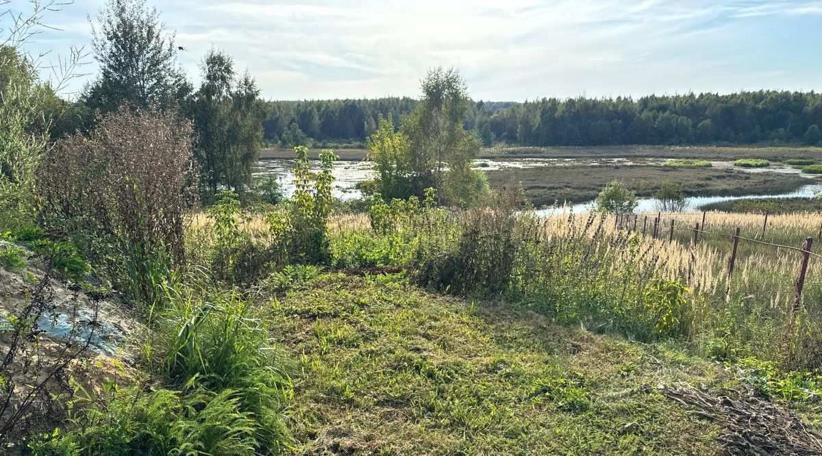 офис городской округ Богородский д Боровково фото 2