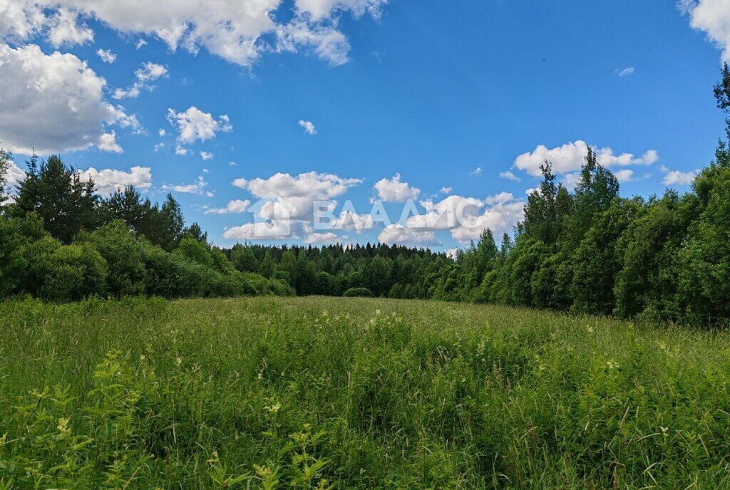 земля р-н Выборгский п Горьковское ул Полевая фото 2