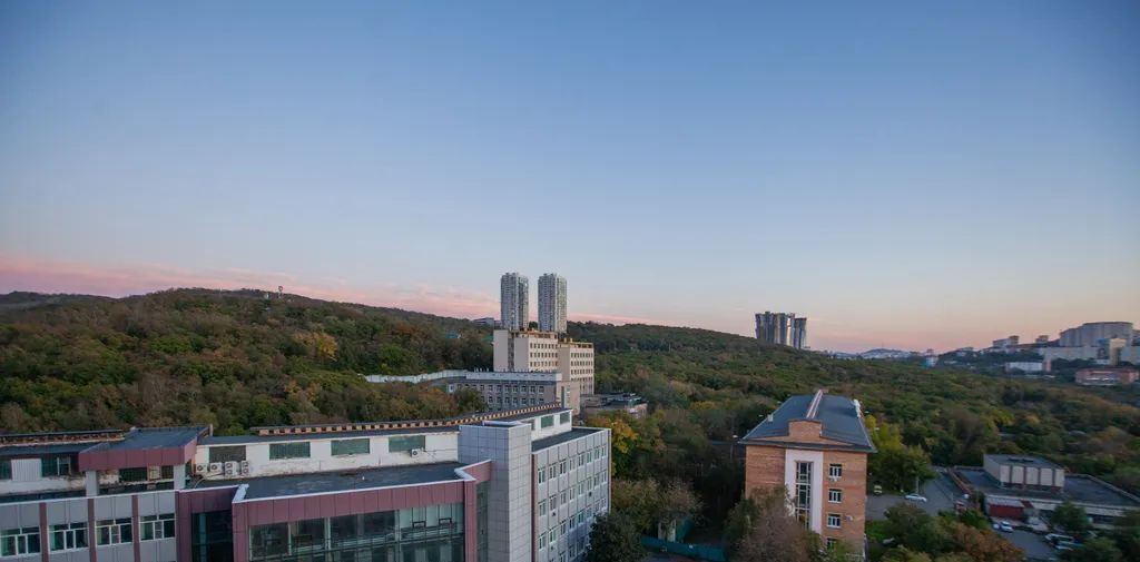 квартира г Владивосток р-н Советский пр-кт 100-летия Владивостока 163 фото 5