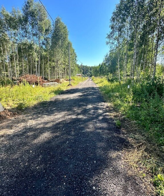 земля городской округ Дмитровский д Поддубки фото 13