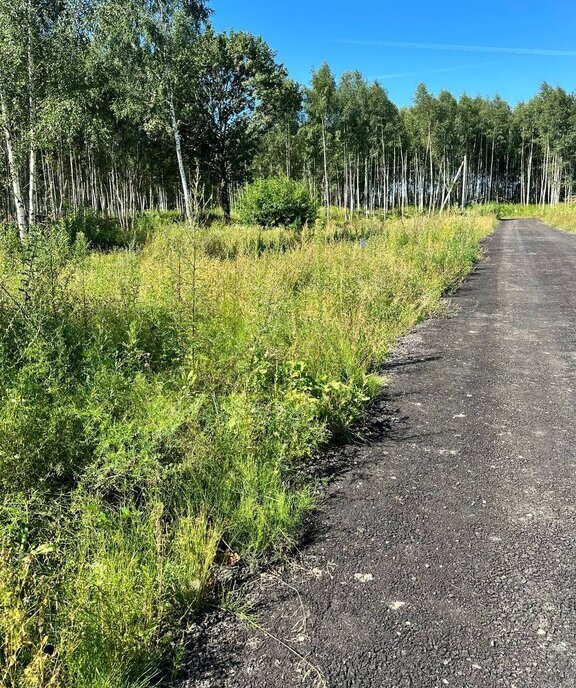 земля городской округ Дмитровский д Поддубки фото 15