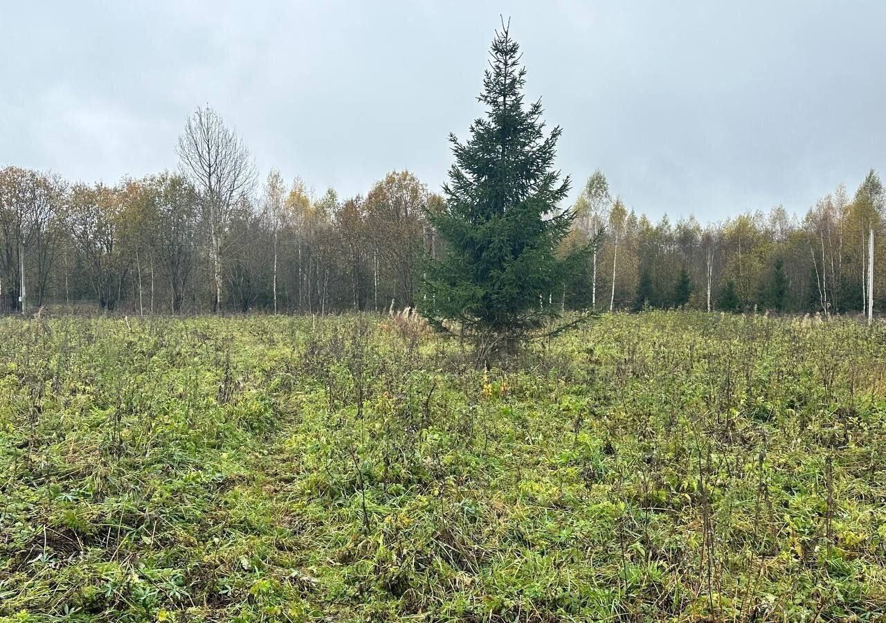 земля городской округ Клин д Акатово 58 км, Новопетровское, Ленинградское шоссе фото 29