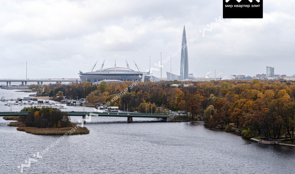 квартира г Санкт-Петербург метро Чкаловская ул Ждановская 45 фото 2