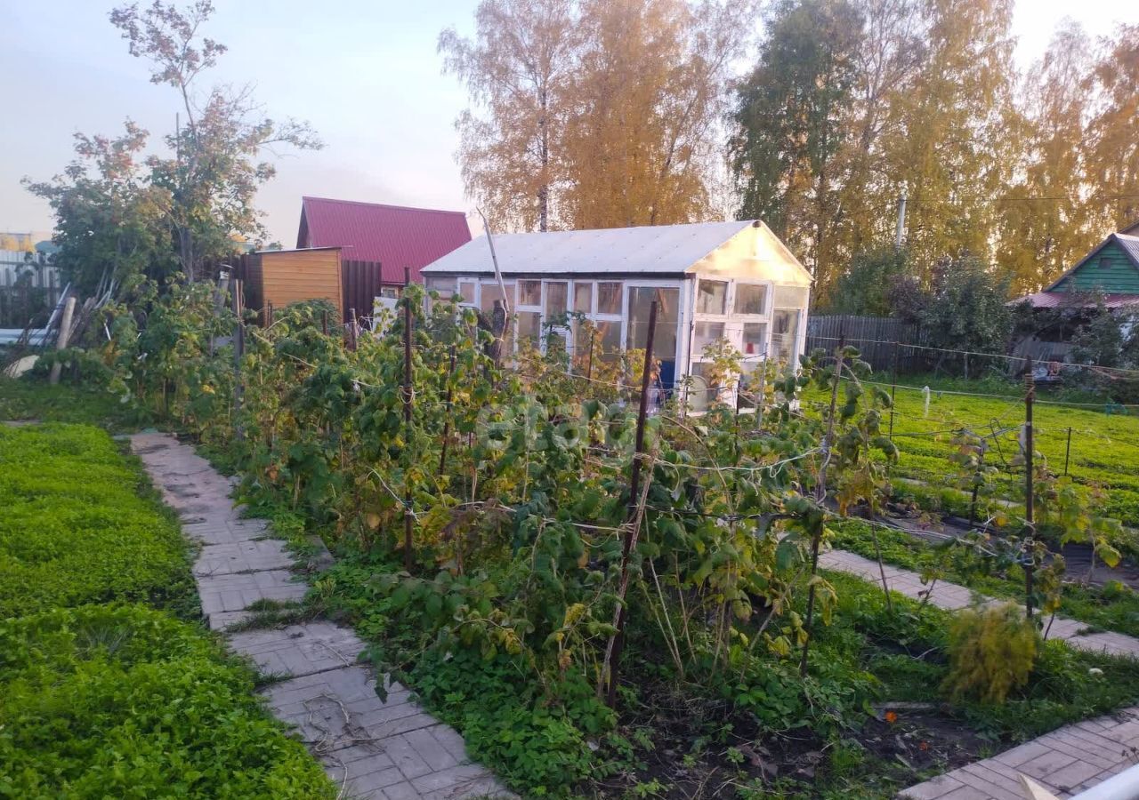 дом р-н Новосибирский Станционный сельсовет, садовое товарищество Яблоневый Сад № 1, 16-я аллея, 371, Новосибирск фото 21