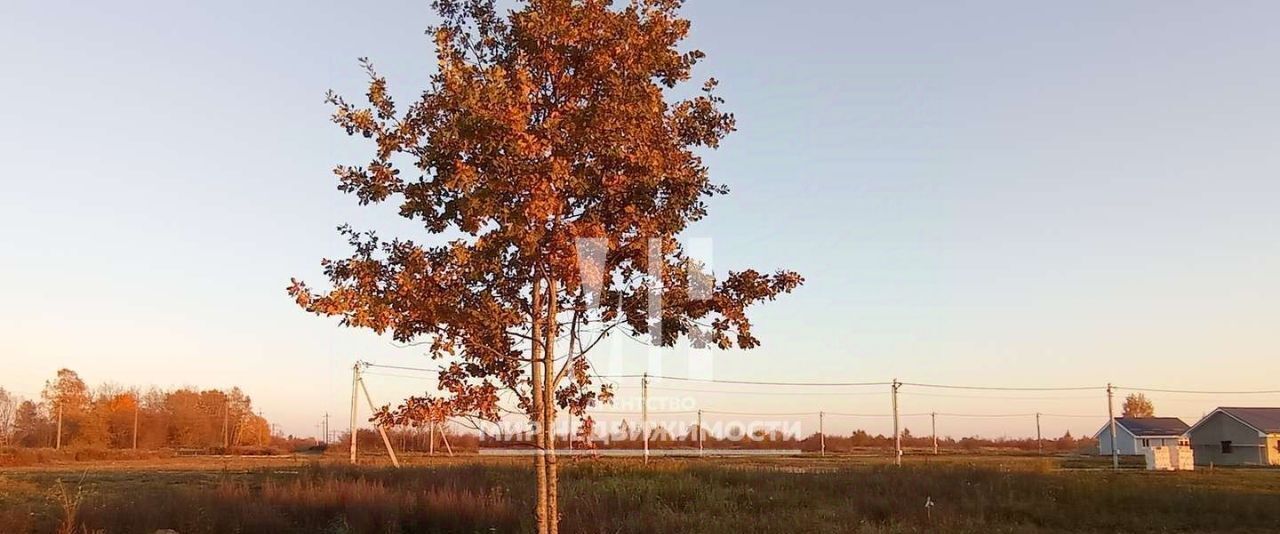 дом р-н Гурьевский п Ласкино ул Лесная 24 фото 6