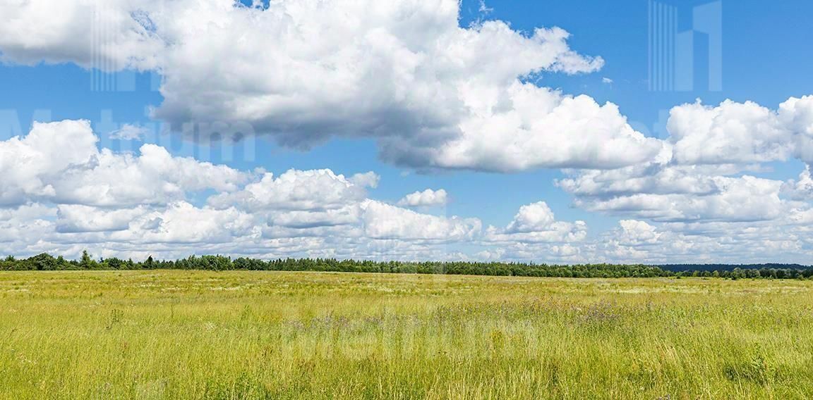 земля городской округ Истра д Чесноково Ренессанс Парк кп, Нахабино фото 2