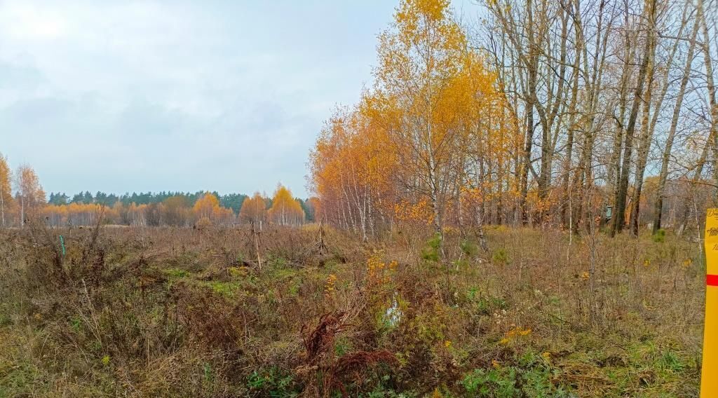 земля р-н Заокский рп Заокский ул Звездная фото 2