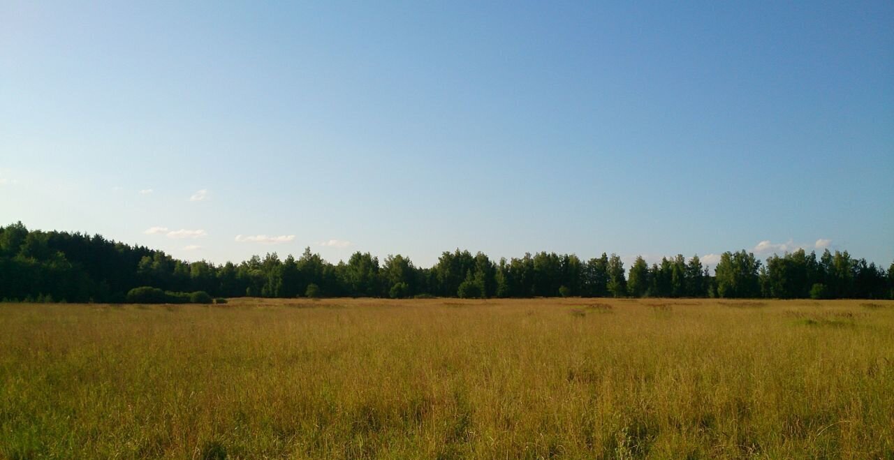 земля городской округ Раменский 9778 км, коттеджный пос. Опушкино, Воскресенск, Новорязанское шоссе фото 8