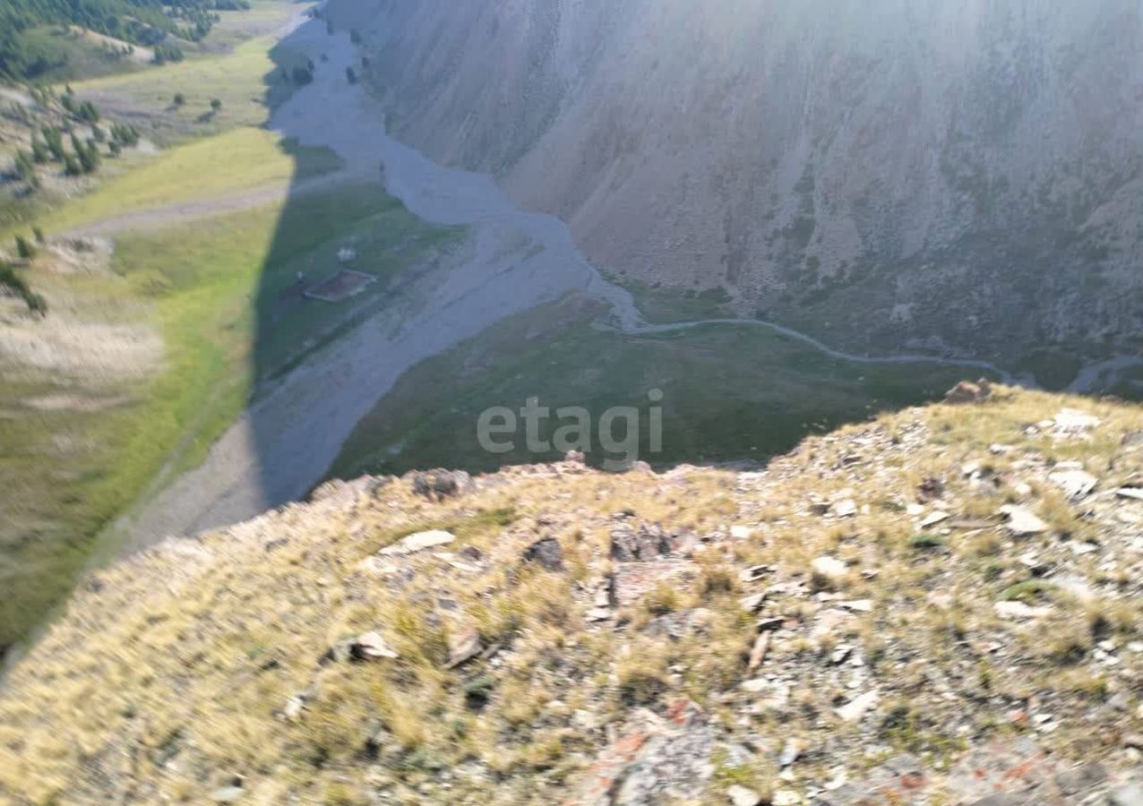 земля р-н Кош-Агачский с Теленгит-Сортогой Кош-Агач фото 4