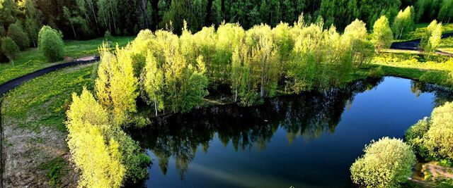 земля городской округ Сергиево-Посадский Яркое кп фото